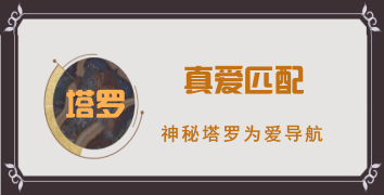 塔罗最后
